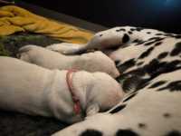 WhatsApp-Image-2024-10-06-at-09.52.57-1