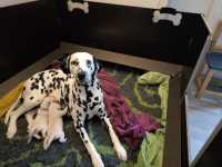 WhatsApp-Image-2024-10-06-at-09.54.26