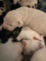 WhatsApp-Image-2024-10-06-at-09.53.20