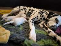 WhatsApp-Image-2024-10-06-at-09.52.58