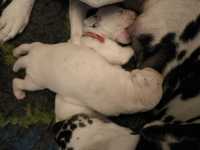 WhatsApp-Image-2024-10-06-at-09.53.21-3