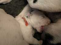 WhatsApp-Image-2024-10-06-at-09.53.21-2