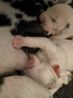 WhatsApp-Image-2024-10-06-at-09.53.50-5