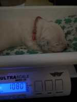 WhatsApp-Image-2024-10-06-at-09.54.24