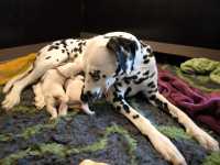 WhatsApp-Image-2024-10-06-at-09.54.25-3