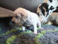 WhatsApp-Image-2024-10-15-at-20.55.12-4