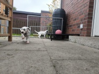 IMG_20241101_110620_1