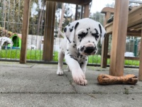 IMG_20241101_110735_1