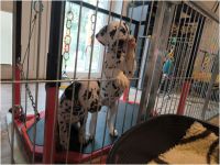 IMG_20241113_113704_1