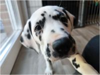 IMG_20241117_140236_1