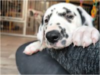 IMG_20241117_140621_1