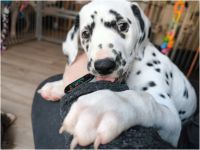 IMG_20241117_140625_1