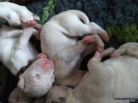 IMG_20250102_121309_web