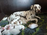 IMG_20250102_121211_web