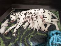 IMG_20250103_104833_web