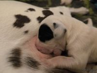 IMG_20250103_125126_web