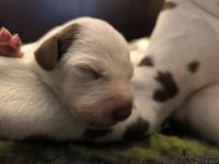 IMG_20250105_094632_web