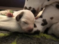 IMG_20250105_094628_web