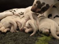 IMG_20250105_094755_web