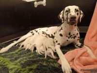 IMG_20250106_171913_web