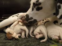 IMG_20250105_094758_web