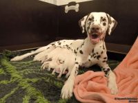 IMG_20250106_171945_web