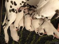 IMG_20250106_172039_web