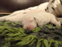 IMG_20250106_172054_web