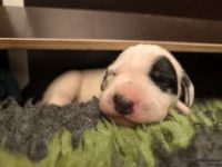 IMG_20250106_173651_web