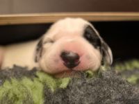 IMG_20250106_174009_web