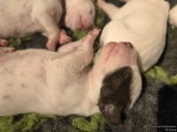 IMG_20250107_155905_web