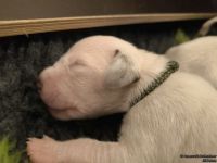 IMG_20250107_155941_web