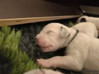 IMG_20250107_155946_web