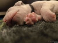 IMG_20250107_160028_web