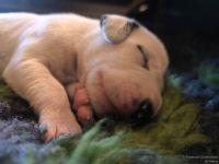 IMG_20250107_160055_web