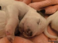 IMG_20250107_171551_web