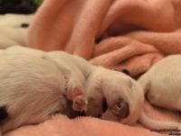 IMG_20250107_171622_web