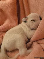 IMG_20250107_171641_web