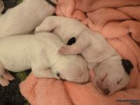 IMG_20250107_172803_web