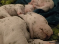 IMG_20250116_095252_web