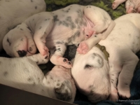 IMG_20250116_095307_web