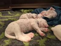 IMG_20250116_095322_web