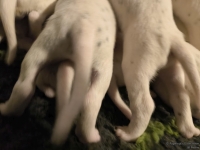 IMG_20250115_085503_web