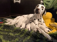 IMG_20250115_085632_web