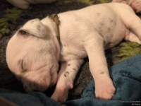 IMG_20250116_095055_web