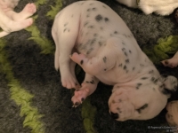 IMG_20250116_095107_web