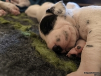 IMG_20250116_095154_web