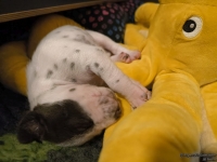 IMG_20250116_095230_web