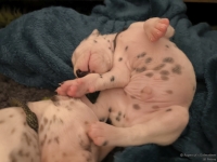 IMG_20250116_095235_web