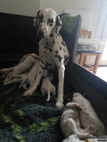 IMG_20250118_121748_web